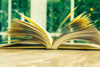 Resumo de O Palácio de Inverno – John Boyne