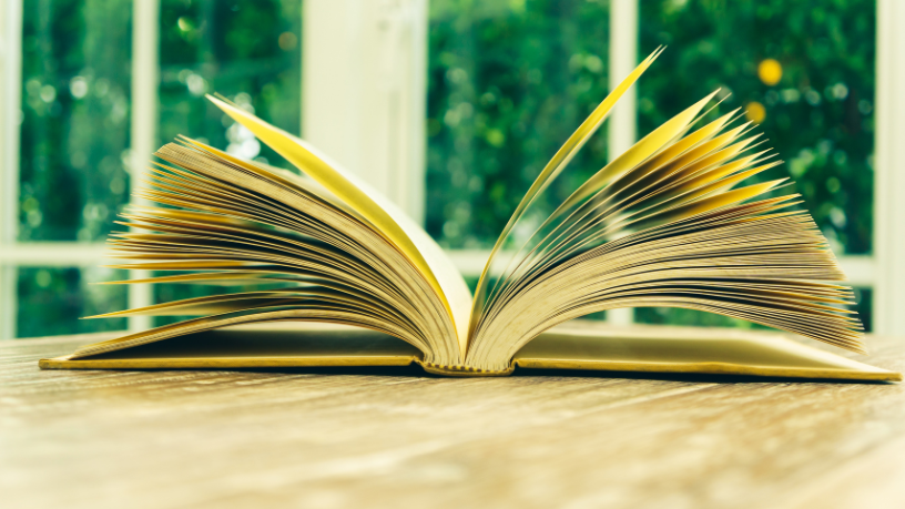 Resumo de O Palácio de Inverno – John Boyne