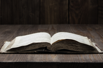 Resumo de O Rei Pálido – David Foster Wallace