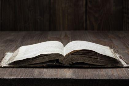 Resumo de O Rei Pálido – David Foster Wallace