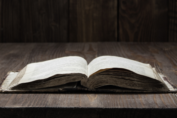 Resumo de O Rei Pálido – David Foster Wallace