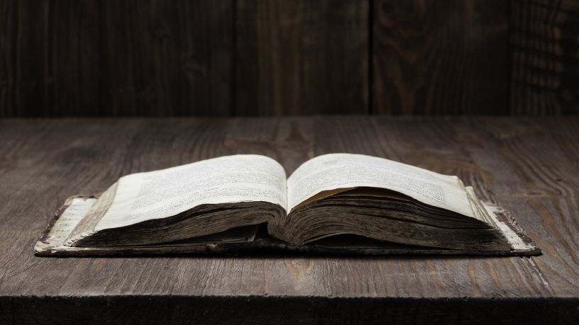 Resumo de O Rei Pálido – David Foster Wallace