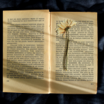 Resumo de Os Mistérios do Reino de Deus – Watchman Nee