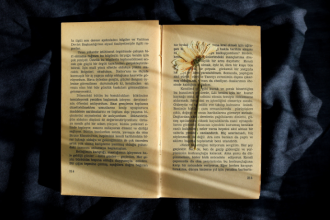 Resumo de Os Mistérios do Reino de Deus – Watchman Nee