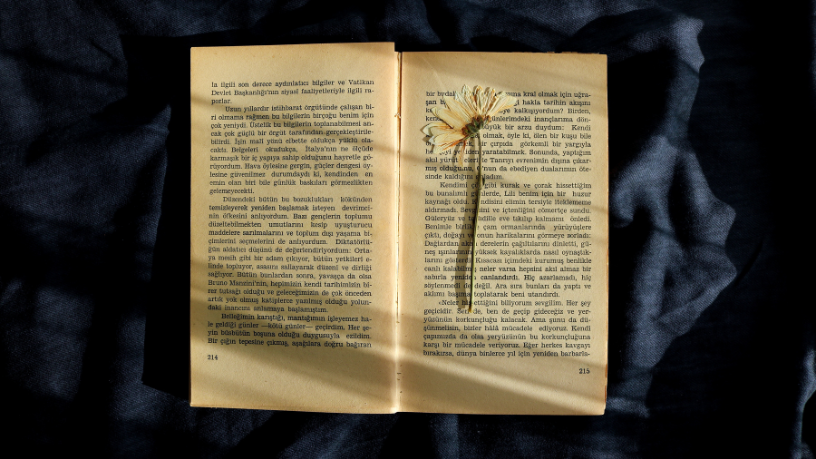 Resumo de Os Mistérios do Reino de Deus – Watchman Nee