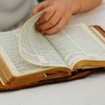 Resumo de Sinhá Moça – Maria Dezonne Pacheco Fernandes