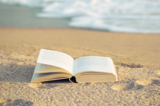 Resumo do A Margem Imóvel do Rio – Antonio Callado