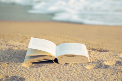 Resumo do A Margem Imóvel do Rio – Antonio Callado