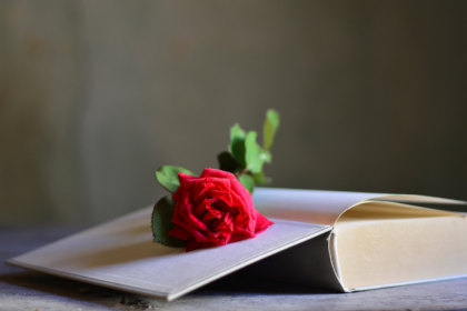 Resumo do A Noite das Mulheres Cantoras – Lídia Jorge