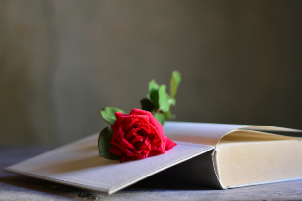 Resumo do A Noite das Mulheres Cantoras – Lídia Jorge