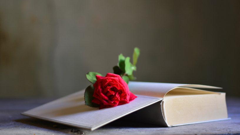 Resumo do A Noite das Mulheres Cantoras – Lídia Jorge