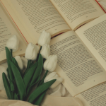 Resumo do A Normalista – Adolfo Caminha