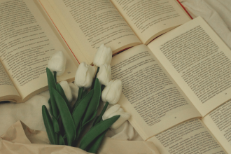 Resumo do A Normalista – Adolfo Caminha