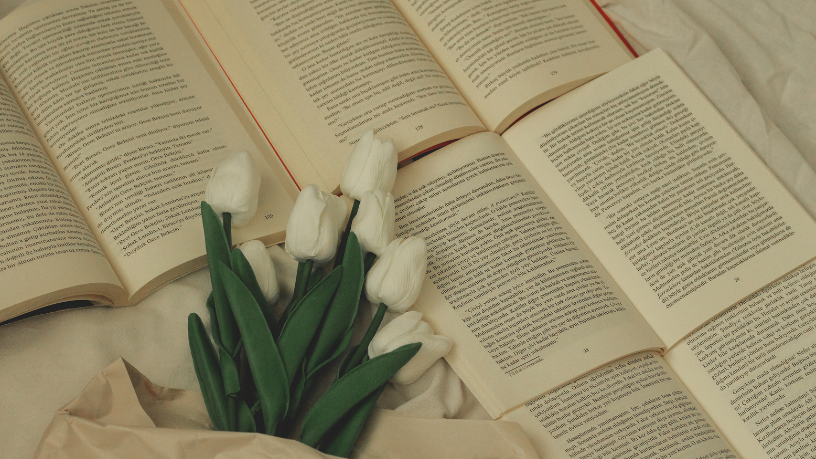 Resumo do A Normalista – Adolfo Caminha