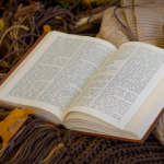 Resumo do Alguma Poesia – Carlos Drummond de Andrade