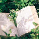 Resumo do Applied Fluid Mechanics – Robert L. Mott