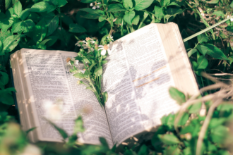 Resumo do Applied Fluid Mechanics – Robert L. Mott