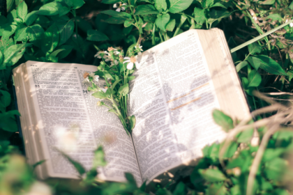 Resumo do Applied Fluid Mechanics – Robert L. Mott