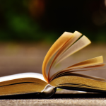 Resumo do Menina Bonita do Laço de Fita – Ana Maria Machado