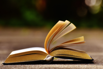 Resumo do Menina Bonita do Laço de Fita – Ana Maria Machado