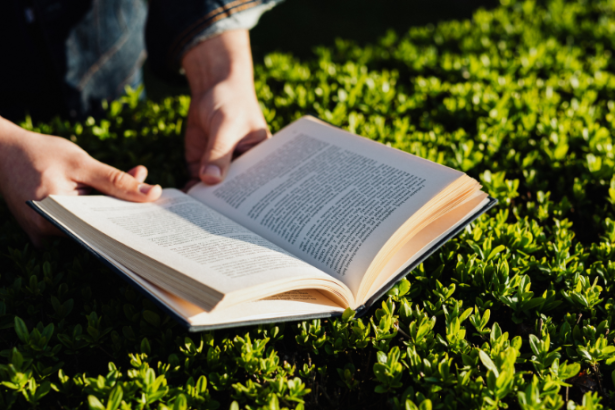 Resumo do Noites na Taverna – Álvares de Azevedo