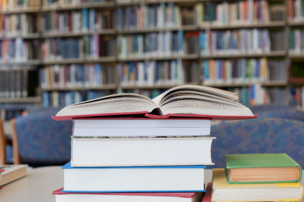 Resumo do O Bom‑Crioulo – Adolfo Caminha