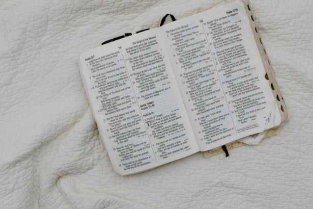 Resumo do O Drama do Calvário – F. F. Bruce