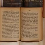 Resumo do O Homem que Plantava Árvores – Jean Giono