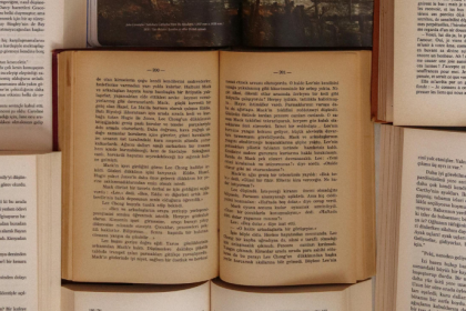 Resumo do O Homem que Plantava Árvores – Jean Giono