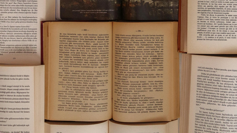 Resumo do O Homem que Plantava Árvores – Jean Giono