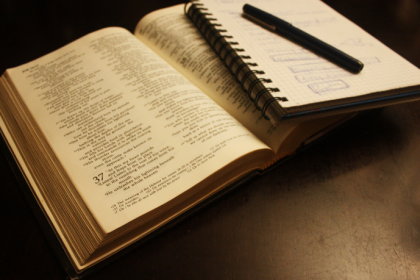 Resumo do O Menino do Dedo Verde – Maurice Druon