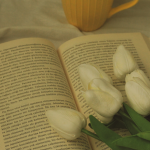 Resumo do O Mundo de Ontem – Stefan Zweig