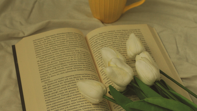 Resumo do O Mundo de Ontem – Stefan Zweig