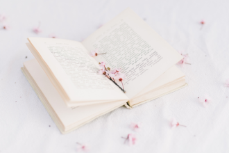 Resumo do O Senhor Ventura – Miguel M. Abrahão