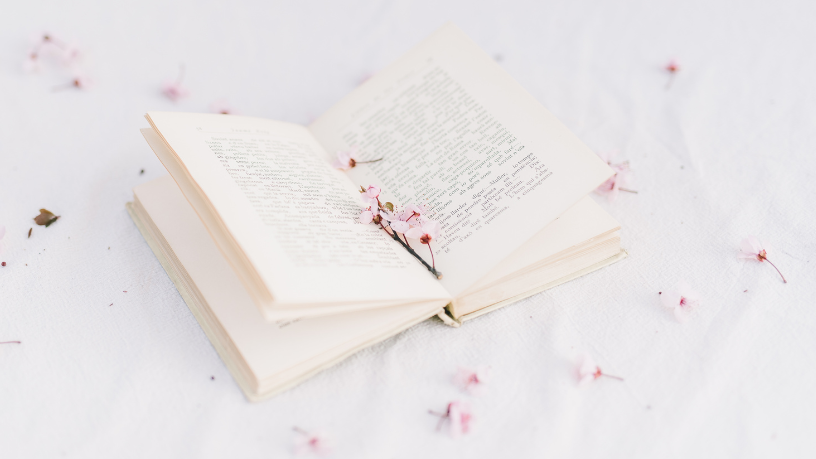 Resumo do O Senhor Ventura – Miguel M. Abrahão