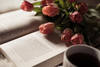 Resumo do O Último Imperador – Bernardo Carvalho