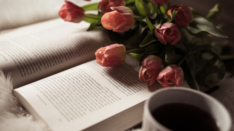 Resumo do O Último Imperador – Bernardo Carvalho