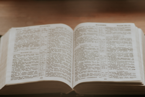 Resumo do Quente, Plano e Lotado – Thomas L. Friedman