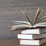 Resumo do livro Marrom e Amarelo — Paulo Scott