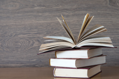 Resumo do livro Marrom e Amarelo — Paulo Scott