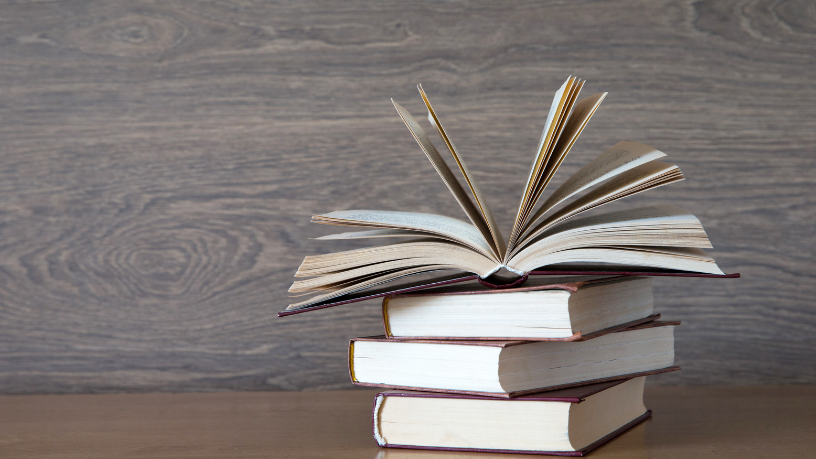 Resumo do livro Marrom e Amarelo — Paulo Scott