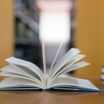 Resumo – Desterros de Natalia Timerman