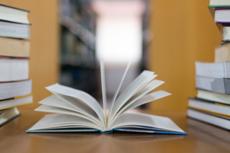 Resumo – Desterros de Natalia Timerman