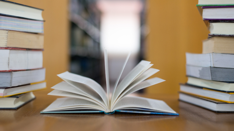 Resumo – Desterros de Natalia Timerman