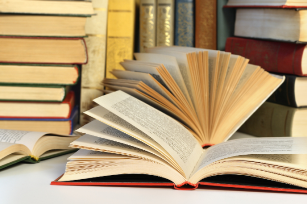 Resumo – O Último Trem para Lisboa de Pascal Mercier