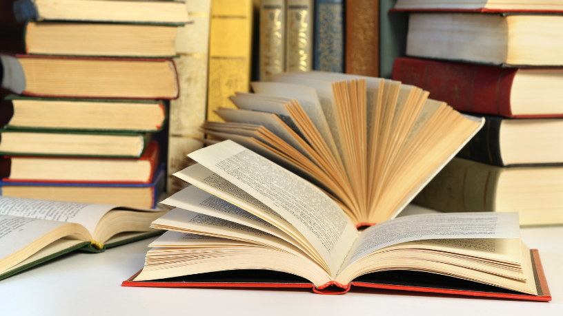 Resumo – O Último Trem para Lisboa de Pascal Mercier