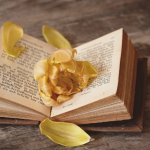 Resumo – Santidade de J. C. Ryle