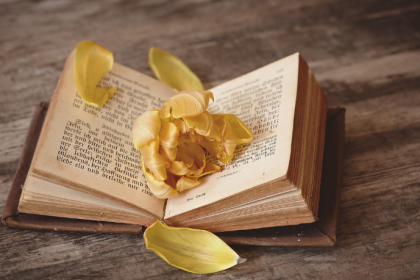 Resumo – Santidade de J. C. Ryle