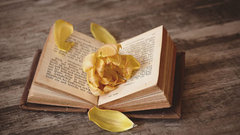 Resumo – Santidade de J. C. Ryle