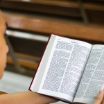 Resumo — A Bagaceira de José Américo de Almeida